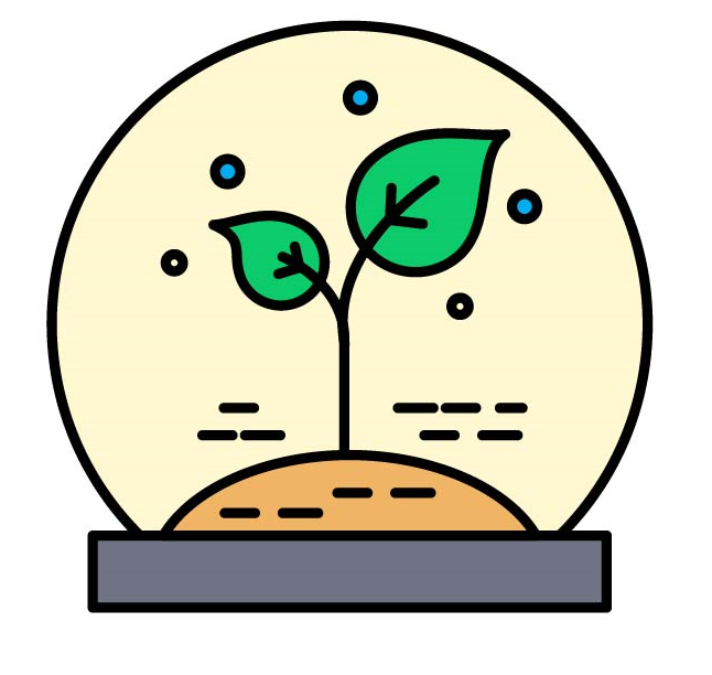 ගෘහස්ත පැලෑටි - Indoor Plants