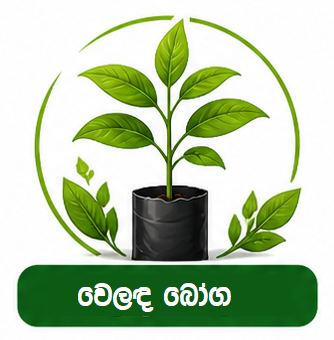 වෙළඳ බෝග