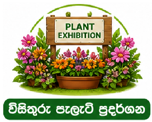 විසිතුරු පැලැටි ප්‍රදර්ශන